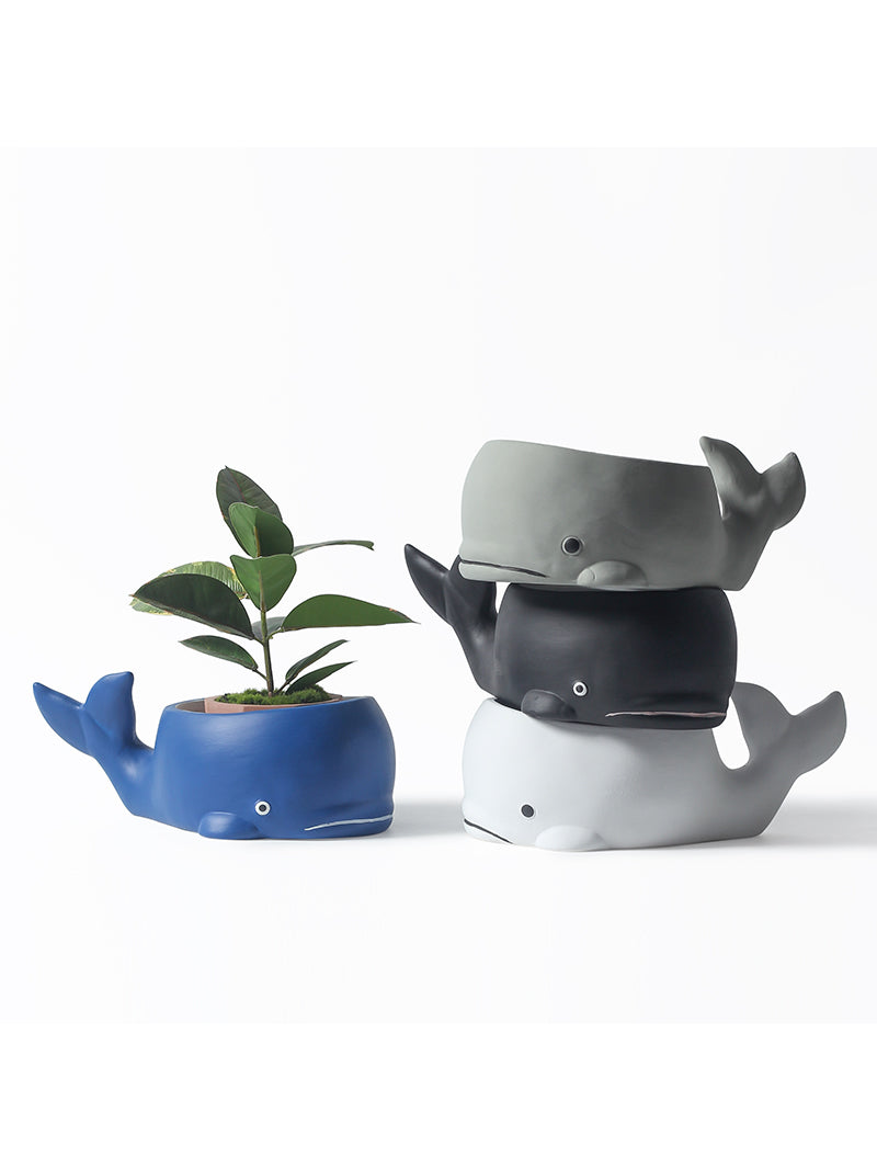 Ceramic Whale Flower Pot, Unique Garden Animal Decoration