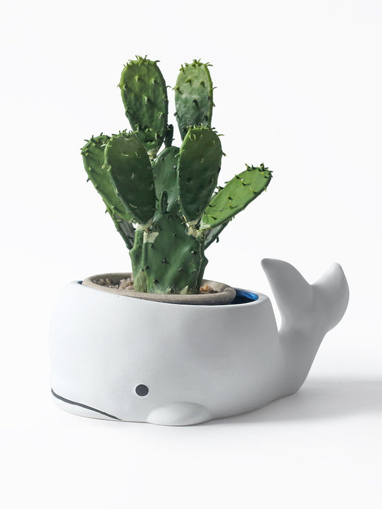 Ceramic Whale Flower Pot, Unique Garden Animal Decoration