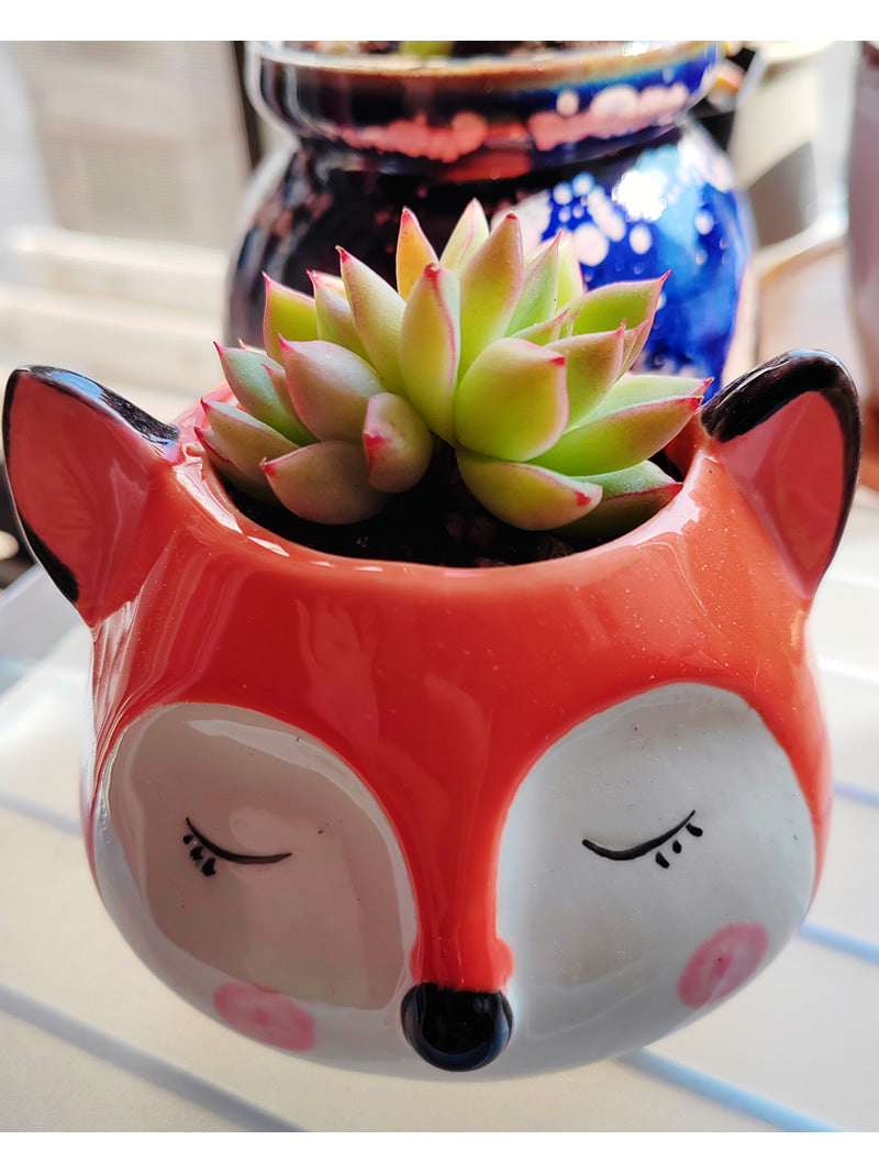 Cute Fox Ceramic Small Flower Pot, Plant Decorative Small Pot